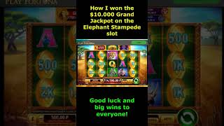 Big Win💲🥇💲Grand Jackpot $10.000 on Elephant Stampede Slot