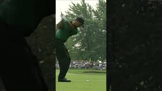 Tiger’s swing since 1996. Timeless⛳️#tigerwoods