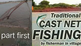 Traditional cast net fishing by fisherman/ village net fishing/cast net fishing (part ,1)