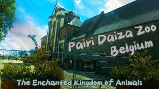 🌍 Explore Pairi Daiza: Europe's Premier Zoo! 🦓🦒 #BestZooEU #WildlifeWonder #PairiDaizaMagic