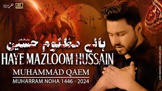 Haye Mazloom Hussain (as) - New Noha 2024 | Muharram 2024-1446 | Muhammed Qaem - Ziyarat-e-Nahiya