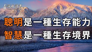 聰明是一種生存能力，智慧是一種生存境界！十句話，發現你自己的智慧，做你智慧的接引者！【深夜讀書】