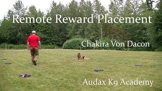 Remote Reward Placement Dog Training