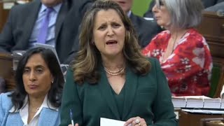 Freeland Gets Flustered, Starts Name-Calling🤡🤡