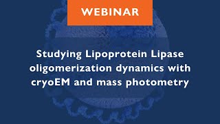 Studying Lipoprotein Lipase oligomerization dynamics with cryoEM and mass photometry