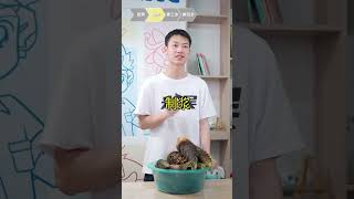 你相信吗？毫不夸张，竹笋造的纸，炸完真的和虾片一样脆！你们猜味道怎么样？