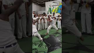 Isso que é um jogo solto..... #capoeira #capoeirando