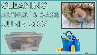 Cleaning Out Arthur`s Cage June 2017