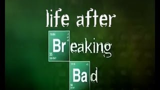 Life after Breaking Bad