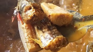 Cooking Singi Fish Curry For Kids - healthy recipe for kids in bengali # bengali vlog