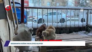 Erzurum'da soğuk hava etkili oluyor #haber #malatya #gündem #gündem #sondakika #erzurum