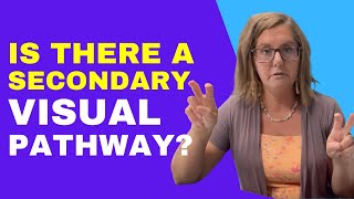 Do You Have  A Secondary Visual Pathway?