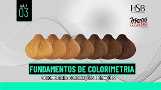 Master Class - Fundamentos de Colorimetria - Aula 3