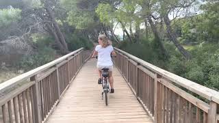 Tracking shot thorugh the nature park Parque Natural de la Albufera and Serra, Spain