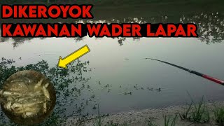 Mancing di Sungai Dikeroyok Kawanan Ikan, Pulang Langsung Dimasak