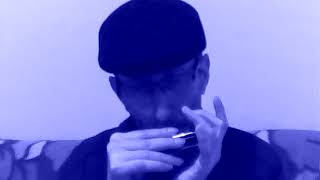 Il tempo se ne va harmonica chromatic