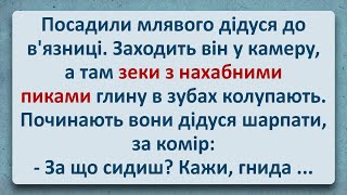 💠 Млявий Дідуган у В'язниці! Українські Анекдоти! Анекдоти Українською! Епізод #287