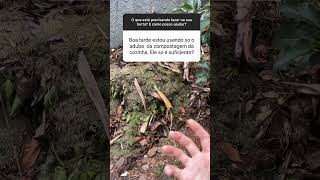 Usar somente composto orgânico na horta é suficiente?