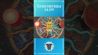 Близнецы, карта дня таро  Расклад таро онлайн на 14 сентября