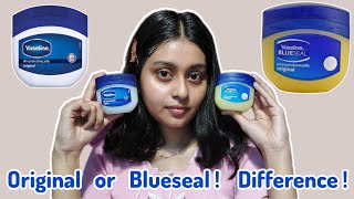 Comparison between Hyped Vaseline Blueseal & Original Petroleum Jelly|| Which one to buy! 🦋