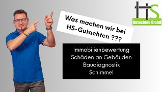 HS-Gutachten- Was machen wir eigentlich?