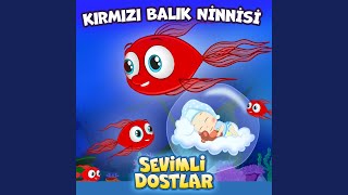 Kırmızı Balık Ninnisi (Sözlü)