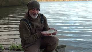 Gravel Pit Roach Winter Tails Episode #roachfishing #fishing