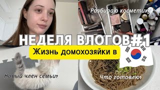 🇷🇺🇰🇷Daily Vlog| Неделя влогов|День со мной|Понедельник