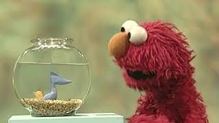 Elmo Finds Out that Dorothy.