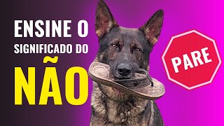 Como ENSINAR o cachorro ENTENDER a palavra "NÃO".