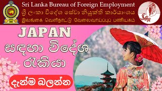 2023 ජපන් සඳහා විදේශ රැකියා අවස්ථා |Japan Construction  Job Vacancies