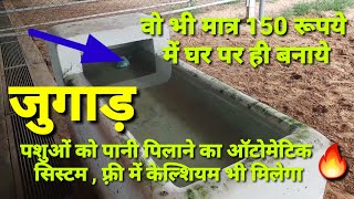 पशुओं के लिये पानी पीने का देसी जुगाड़। Dairy Farming। Automatic water drinking system