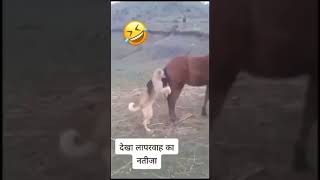 #rajasthan #shorts #shortsfeed #marwadi #rajasthannews #jodhpur #rajasthani #short #shortvideo