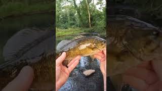 🧐Watch the WAKE on the ATTACK!😳 #fishing #creekfishing #smallmouthbassfishing