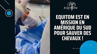 Equitom est en mission en Amérique du Sud pour sauver des chevaux !