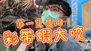 【剛起蝦就雙勾】宜蘭礁溪蝦場 彩帶蝦開跑 雙鉤 拉爽爽還有禮物拿 #彩帶蝦 #醉蝦釣蝦場#雙勾 #釣蝦 #台湾のエビ釣り