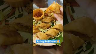 Spring Roll Dosa || South indian with Chinese twist || Delhi food blogging || lajpat nagar Sambarpot