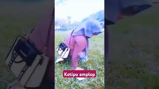 Cewe ketipu#amplop#kosong#shortvideo