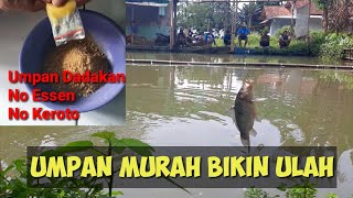 CUKUP #UMPAN PELET JITUU !! #MANCING IKAN MAS..LIAT HASILNYAA