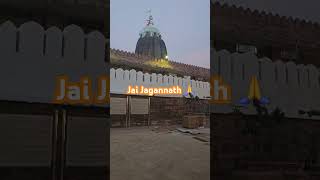 puri Jagannath temple / Jai Jagannath