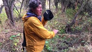 Denver Holt on the Long-eared Owl project