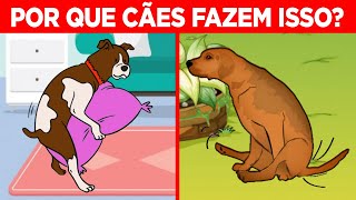 O Significado dos 13 Comportamentos Mais Estranhos dos Cachorros