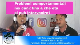 Cani con problemi comportamentali: fino a che età si può intervenire?