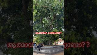 👻ആത്മാവിനെ കാണാത്തവർ കണ്ടോളു🔥🔥#viral #trending #shorts #temple #prayer #krishna #soul #spiritual