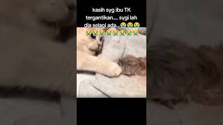 sayangilah ibumu selagi masih ada