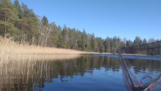 Поехали за щукой,а наловили раков. Ненормативная лексика!