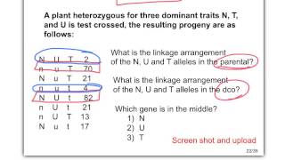 Biol 360 Tutorial 3pt cross ch7NUTmiddleKEY