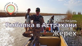 Рыбалка - Астрахань/Кизань /Ловля жереха/ Рыбалка на реке Кизань