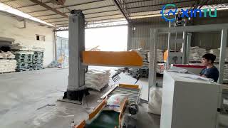 Fully automatic column palletizer for bags