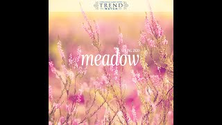 TrendWatch Spring 2020: MEADOW